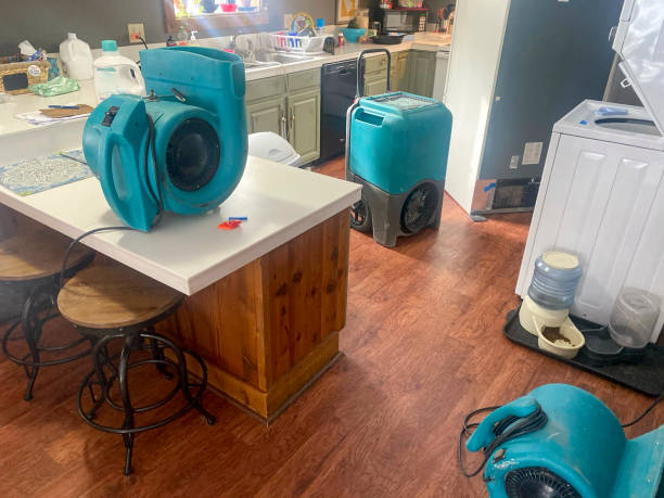 Best Water damage restoration near me  in Pawnee, OK