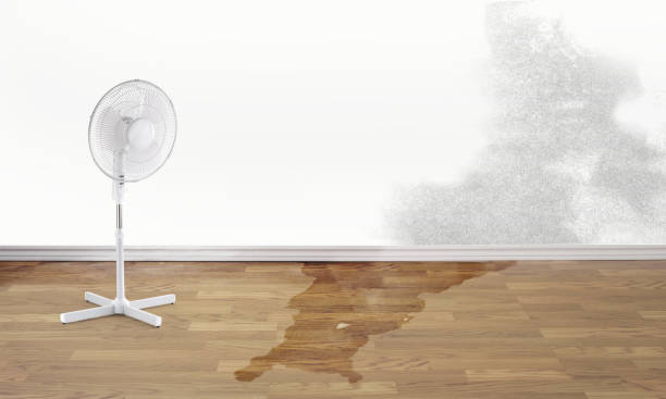 Best Commercial water damage restoration  in Pawnee, OK