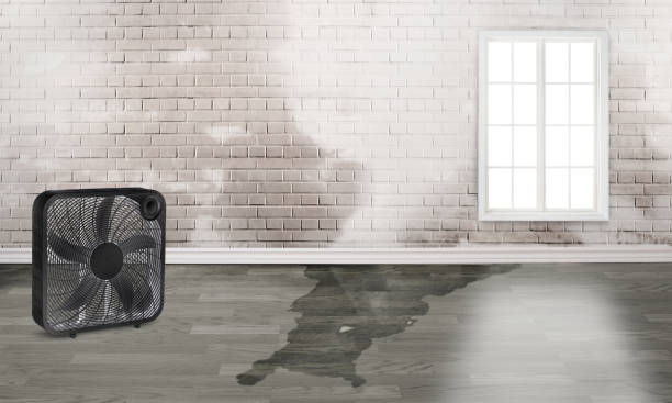 Fire Damage Restoration in OK