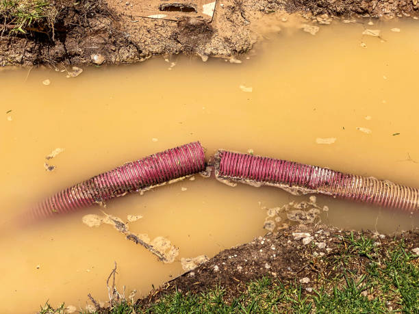 Best Water damage contractors near me  in Pawnee, OK